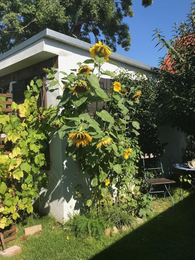 Haus Vicus Daire Greifswald Dış mekan fotoğraf