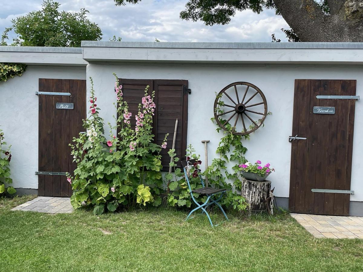 Haus Vicus Daire Greifswald Dış mekan fotoğraf