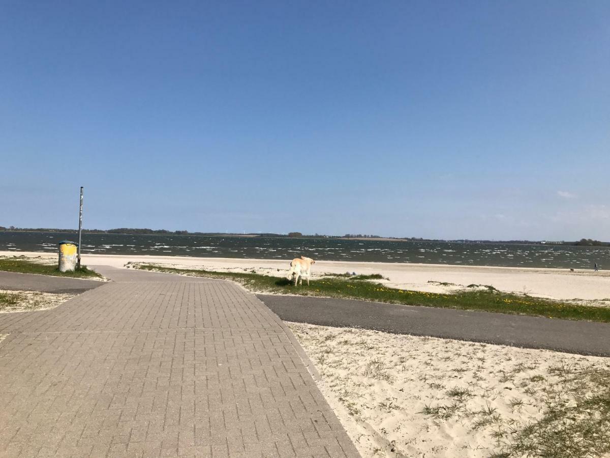 Haus Vicus Daire Greifswald Dış mekan fotoğraf